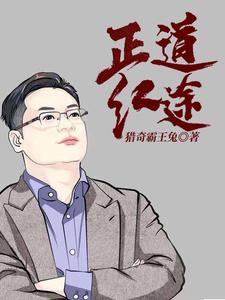 《正道红途》李初年完整版小说免费阅读