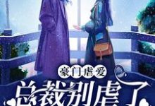 在线寻找豪门虐爱:总裁别虐了,夫人已婚了小说的无删减版本-书格格