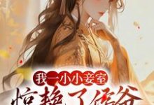 已完结小说《我一小小妾室,惊艳了侯爷很合理吧》章节免费阅读-书格格