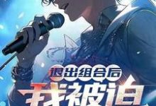 退出组合后，我被迫成为顶流！小说最新章节在哪里可以读到？-书格格