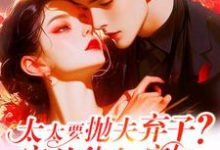 太太要抛夫弃子？宋总他急疯了这本小说完结了吗？免费查看最新章节-书格格