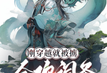 林烨小说免费阅读完整版-书格格