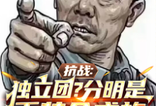 完结版《抗战:独立团?分明是重装合成旅》免费阅读-书格格