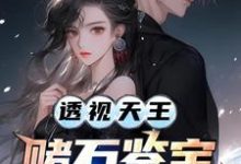 《透视天王：赌石鉴宝财色无双》小说章节列表免费试读，李秋阳艾晴柔小说在线阅读-书格格