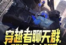 穿越者聊天群，我没穿越啊林辰，穿越者聊天群，我没穿越啊完整版最新章节-书格格