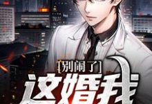 完结版《别闹了,这婚我离定了》在线免费阅读-书格格
