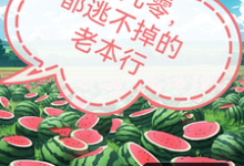 唐嫣肖致小说回到九零，都逃不掉的老本行章节免费阅读-书格格