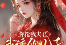 完整版《你抢我夫君，我诱你儿子，不能亏》小说免费阅读-书格格
