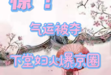惊！气运被夺，下堂妇火爆京圈完整版小说，惊！气运被夺，下堂妇火爆京圈最新章节-书格格