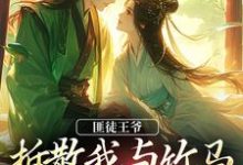小说《匪徒王爷拆散我与竹马，逼我嫁他！》完整版章节免费阅读-书格格