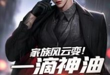 石宽小说完结版在线阅读，家族风云变！一滴神油搅动乾坤免费看-书格格