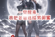 一觉醒来，我把老婆送给男闺蜜叶阳，一觉醒来，我把老婆送给男闺蜜小说免费阅读-书格格