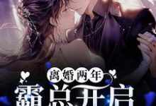 寻找能够免费阅读离婚两年,霸总开启追妻之旅小说的平台-书格格