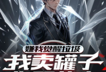 嫌我觉醒垃圾，我卖罐子你哭什么小说全文哪里可以免费看？-书格格