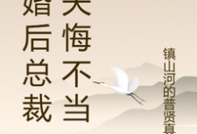 离婚后总裁前夫悔不当初完整版小说免费阅读,离婚后总裁前夫悔不当初小说-书格格