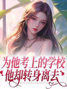 小说《为他考上的学校，他却转身离去》完整版章节免费阅读