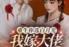 已完结小说《重生你选白月光，我嫁大佬你哭啥》章节免费阅读-书格格