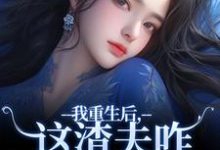 我重生后，这渣夫咋还换人格了（林菀宁）完整版在线免费阅读-书格格