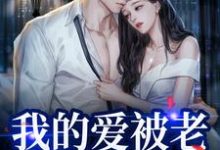 《我的爱被老婆永久拉黑》小说大结局免费试读 姜软软段辞小说-书格格