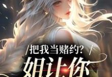 把我当赌约?姐让你跪地求饶小说完结了吗?在哪里可以免费读到?-书格格