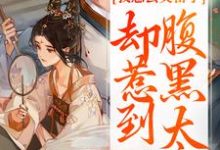 我想去父留子，却惹到腹黑太子小说有没有完整的免费版本在线阅读？-书格格