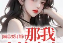 沈徽林项明峥小说完整版《霸总要订婚?那我拿钱走人》免费阅读-书格格