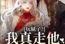 玩腻了?我真走他又不高兴阮柠贺宴川在线章节免费阅读-书格格