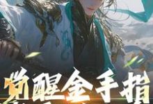 求觉醒金手指,我要做人皇小说的全文免费阅读链接-书格格