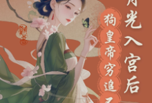 白月光入宫后，狗皇帝紧追不舍完整版小说，白月光入宫后，狗皇帝紧追不舍最新章节-书格格