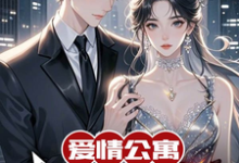 爱情公寓：我的传统女友沈星辰，爱情公寓：我的传统女友小说免费阅读-书格格