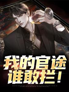 小说《我的官途谁敢拦！》章节免费阅读
