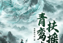 青鸾志：扶摇免费阅读，青鸾志：扶摇李彩云苗-书格格