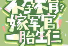 嫌我不孕不育？嫁军官一胎生仨完整版小说免费阅读，嫌我不孕不育？嫁军官一胎生仨小说-书格格