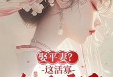 求娶平妻？这活寡我不守了！小说的全文免费阅读链接-书格格
