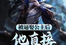 哪里能找到被逼娶公主后,他直接坐了皇位小说的全部章节?-书格格