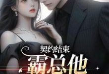 契约结束,霸总他跟我玩套路免费阅读,契约结束,霸总他跟我玩套路章节目录-书格格