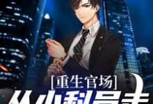 唐正季青小说《重生官场:从小科员走向权力巅峰》完整版免费阅读-书格格