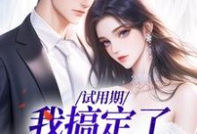 试用期，我搞定了上司这本小说在哪里可以看？哪里有免费试读章节？-书格格