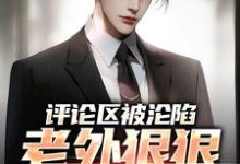 程毅瑞秋小说在线章节免费阅读(评论区被沦陷,老外狠狠羡慕了无弹窗无删减)-书格格