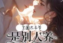 京圈太子爷！是别人养的小白脸焱晟炆楚墨墨，京圈太子爷！是别人养的小白脸小说免费阅读-书格格