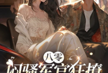 完结版《八零：闷骚军官狂撩炮灰前妻》免费阅读-书格格