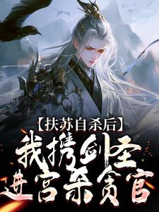 赵凌小说完结版在线阅读，扶苏自杀后，我携剑圣进宫杀贪官免费看
