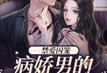 季晏清慕之桃完整版小说《禁爱囚笼:病娇男的独占欲》免费阅读-书格格