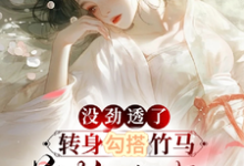 小说《没劲透了,转身勾搭竹马首辅小叔》章节免费阅读-书格格