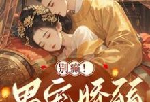 别癫!男宠娇弱,咋会是疯批太子这本小说在哪里可以看?哪里有免费试读章节?-书格格