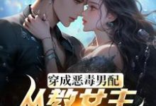 小说《教女主厚脸皮，可没教她不要脸啊》章节免费阅读-书格格