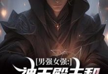 男强女强:神王殿主和女特工闪婚了完整版小说,男强女强:神王殿主和女特工闪婚了最新章节-书格格