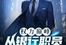 《权力巅峰:从银行职员到封疆大吏》小说大结局免费试读 闻哲小说-书格格