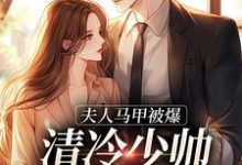 夫人马甲被爆,清冷少帅宠妻无度!小说最新更新在哪里?免费在线看-书格格