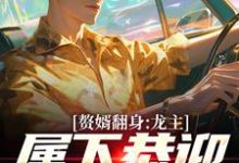 免费在线阅读赘婿翻身：龙主，属下恭迎您归位小说的正规网站有哪些？-书格格